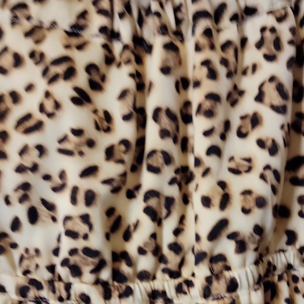 Chic Strapless Leopard Dress - Picture 2 of 4